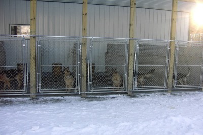 Carport Area Progress